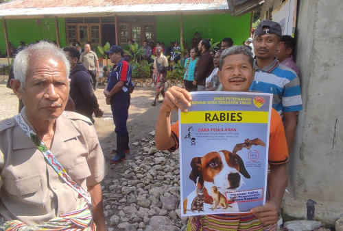 Cegah Penyebaran Rabies di NTT, Kementan Kirim Bantuan Vaksin