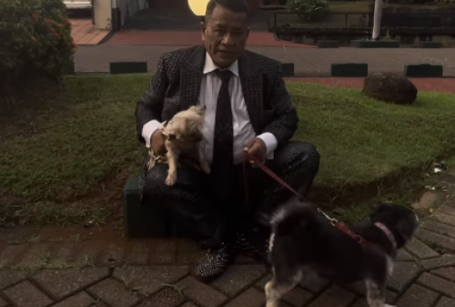 Hollywings Bali Difitnah jadi Penyebab Anjing Mati, Hotman Paris Lontarkan Somasi Terbuka   
