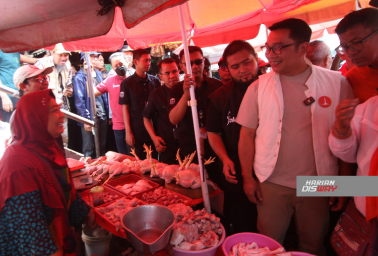 Melihat langsung kondisi tersebut, Ridwan Kamil mengungkapkan akan mencari solusi dari berbagai masalah yang terjadi di pasar. Mulai dari menata ulang pasar, membangun hunian di atas pasar, dan pengelolaan limbah sampah.