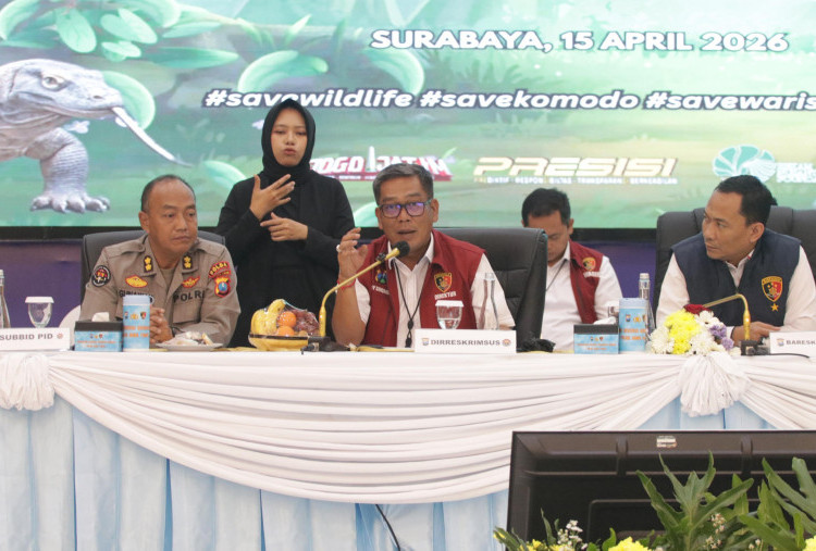 Jaringan Satwa Ilegal Ini Raup Miliaran, Komodo Dijual 6 Kali Lipat