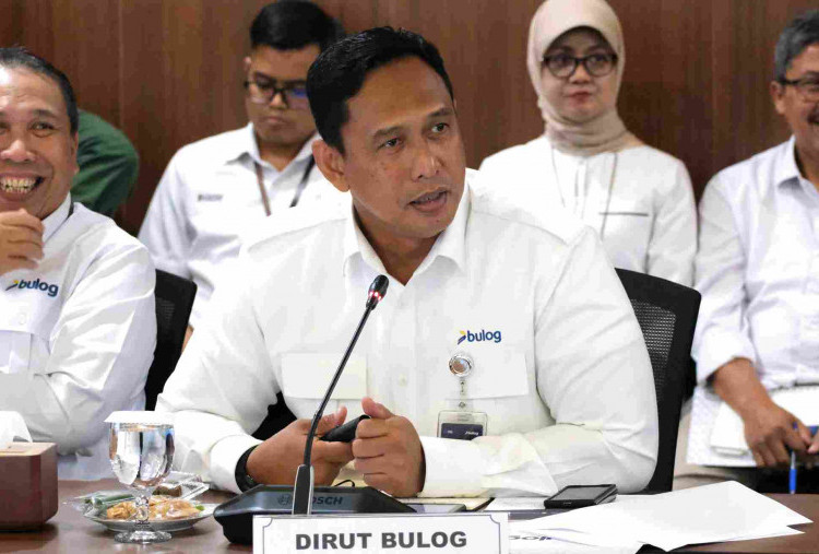 Kinerja Bulog atas Dukungan Swasembada Pangan 2025 Bakal Berbuah Reward Margin Fee