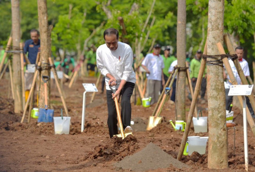 Jokowi Tanam Pohon di Hutan JIEP Pulo Gadung
