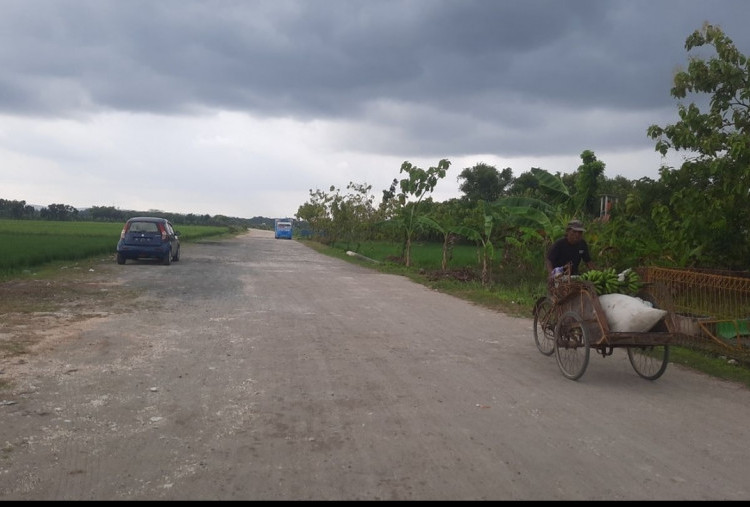 Pemuda Pancasila Tolak Penamaan Jalan Pramoedya Ananta Toer, Sarankan Pakai Nama Tirto Adi hingga Surosentiko