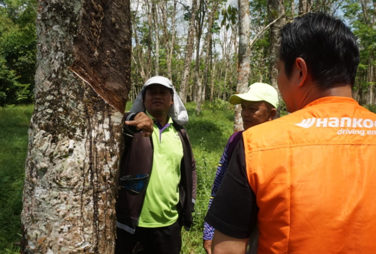 Tantangan Industri Karet Nasional, 200 Petani Jadi Kunci Perubahan