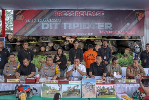 Tipidter Bareskrim Polri Ungkap Kasus Illegal Logging di Kalimantan Tengah, 1 Surveyor PT CSS Jadi Tersangka