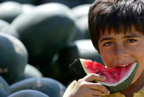 Segudang Manfaat Semangka yang Jadi Simbol Perlawanan Palestina