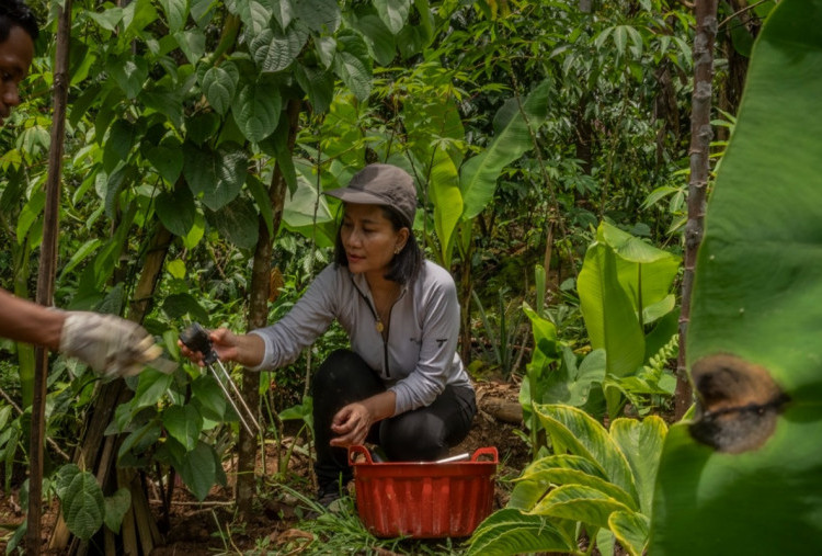 PepsiCo dan National Geographic Danai Riset Pertanian Regeneratif, Indonesia Tampil dengan Teknologi AI Tanah