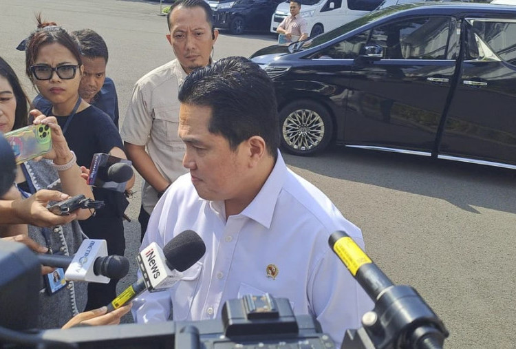 Danantara Tancap Gas! Ditargetkan Selesaikan 22 Program Strategis dalam 6 Bulan, Erick Thohir: Seperti Bayi Ajaib 