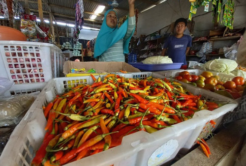 Harga Cabai di Pangandaran Naik Hingga Rp 50 Ribu