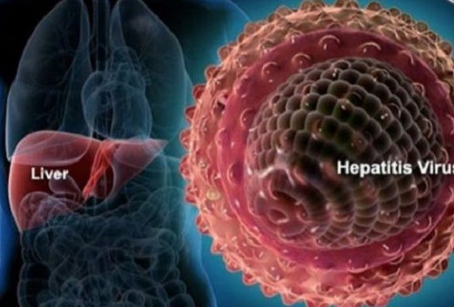 WHO: Teridentifikasi 348 Kasus Hepatitis yang Tidak Diketahui Asalnya, Wow… 
