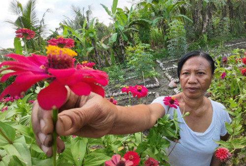Alit Indonesia Bali Dampingi Petani Blahbatuh Membuat Sistem Permakultur