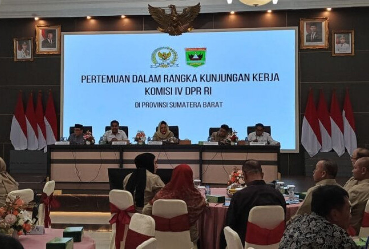 Alex Indra Lukman: Eksploitasi Hutan Sipora Ancam Ekosistem dan Masa Depan Mentawai