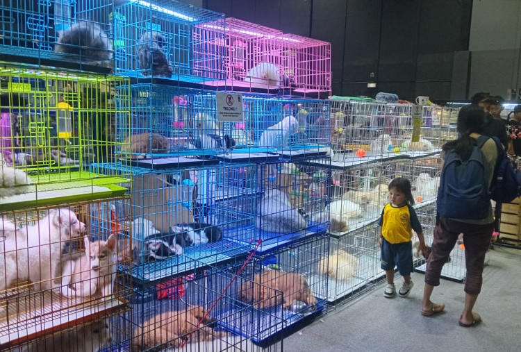 Indo Pet X 2025 Hadirkan Berbagai Anabul dan Reptil Unik di SCC