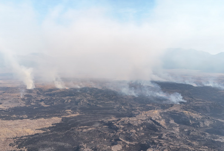Kebakaran Hutan Bromo Meluas ke 742 Hektare: Operasi Water Bombing Digenjot, 24 Ribu Liter Air Disiramkan