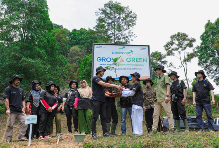 Pulihkan Hutan Bekas Tambang, Aksi Nyata Kelompok Tani Selamatkan Lingkungan Bersama BRI Menanam-Grow & Green