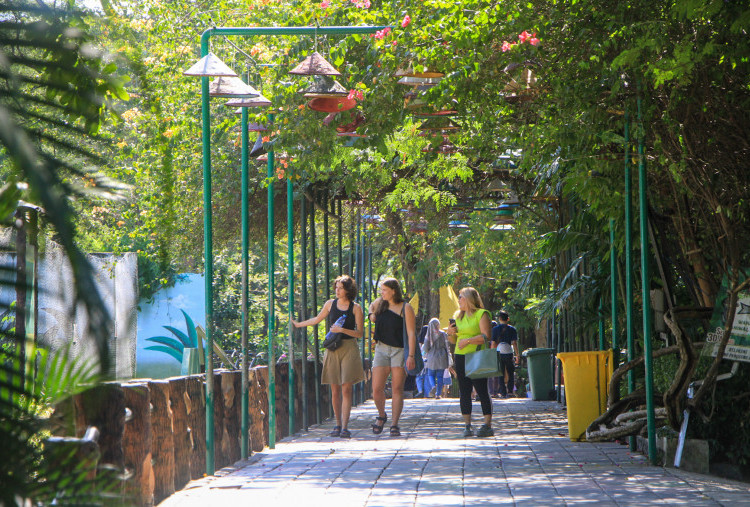Taman Satwa Kebun Binatang Surabaya Raih Juara 1 Kategori Nature Based Tourism dalam Surabaya Tourism Awards 2025