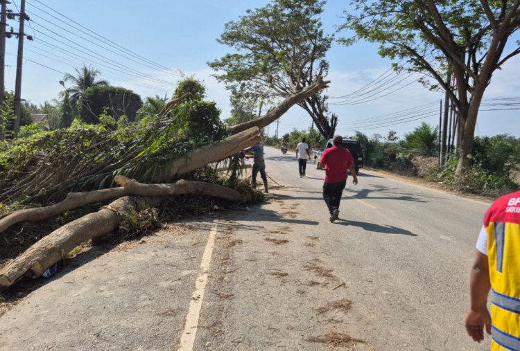 Ini Ruas Jalan Utama Sudah Bisa Dilalui Pascabanjir-Longsor di Ace
