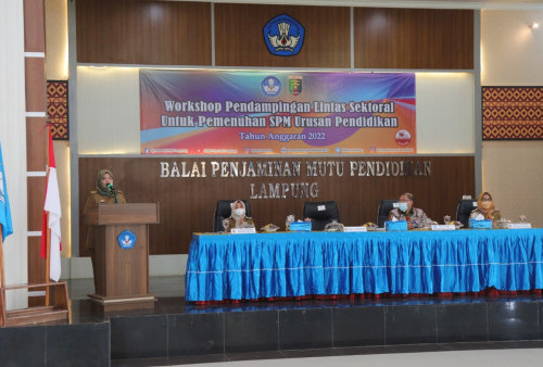 Workshop SPM Bidang Pendidikan 2022, Wagub Chusnunia Ajak Kabupaten-Kota Wujudkan Pendidikan Bermutu
