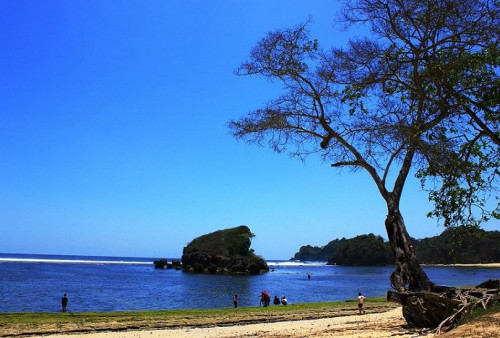 Serunya Menikmati Pantai Kondang Merak di Malang Selatan, Tak Perlu Jauh-Jauh ke Bali!