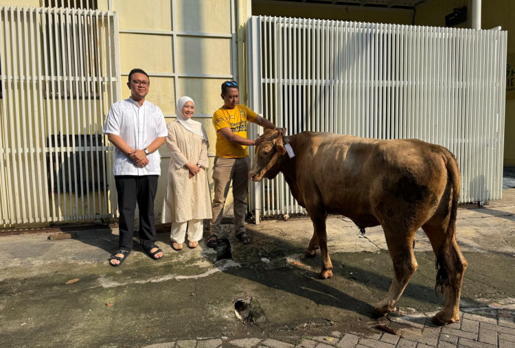 Adela Kanasya Adies Salurkan 46 Kambing dan 5 Sapi Kurban di Surabaya-Sidoarjo
