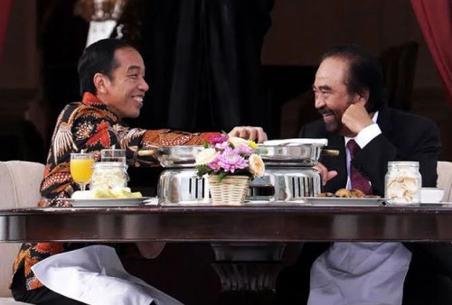 Istana Sebut Surya Paloh Ajukan Permohonan untuk Bertemu Jokowi, Nasdem Meradang