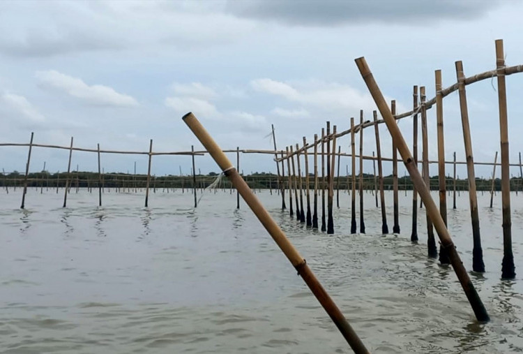 Kades Kohod Angkat Bicara Dituding Berikan Arahan ke Para Tukang untuk Pasang Pagar Laut