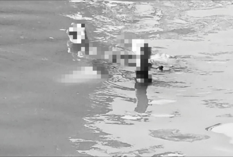 Geger! Jasad Pria 'Mr. X' Mengambang di Kali Ciliwung Tanjung Barat Jaksel, Polisi Selidiki