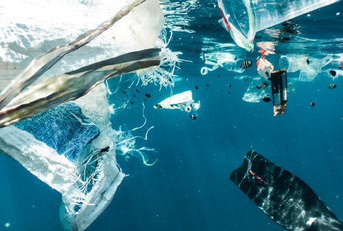 Laut Nusa Peninda Jadi Sorotan Media Asing, Bule Curhat Banyak Sampah Plastik di Spot Manta Rays: Sangat Menjijikan!