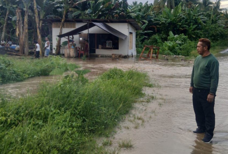 Banjir Rendam Kabupaten Cilacap, 65 Hektare Sawah Terancam Gagal Panen