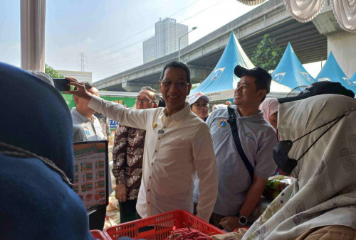 PJ Gubernur DKI Jakarta Sebut Budidaya Ikan Lele Ampuh Cegah Penularan DBD