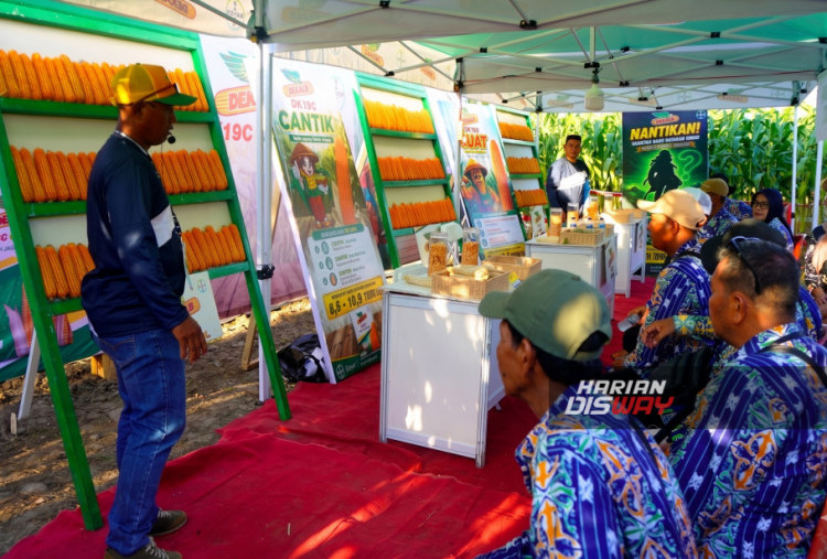 Jagung Tahan Hama Hadir di PENAS 2026