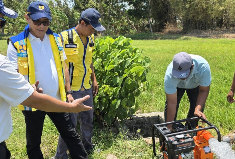 Kekeringan Mulai Ganggu Sawah di Jawa Timur, 13 Pompa Dikerahkan untuk Pasokan Air