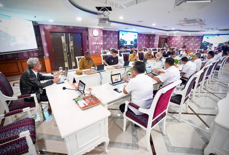 Audiensi 7 Pemda, Wamensos Agus Jabo Tekankan Dinsos Ujung Tombak Pemutakhiran Data