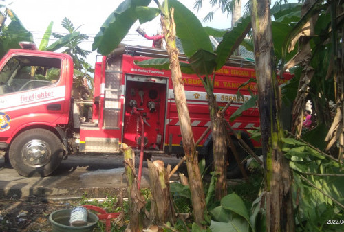 Petugas BPBD Padamkan Kebakaran Lapak Limbah dan Ilalang di Utara Tangerang