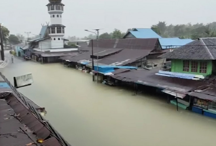 Banjir Banjar Baru Kalsel, Rumah di Desa Kelampayan Tinggal Atap, Warga Tidur di Perahu