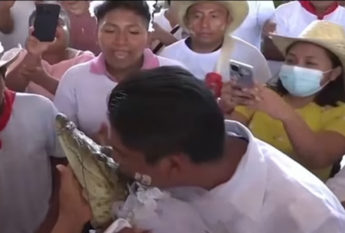 Ada-Ada Saja! Seorang Wali Kota di Meksiko Menikahi Seekor Buaya, Orang-Orang pun Menari Bahagia