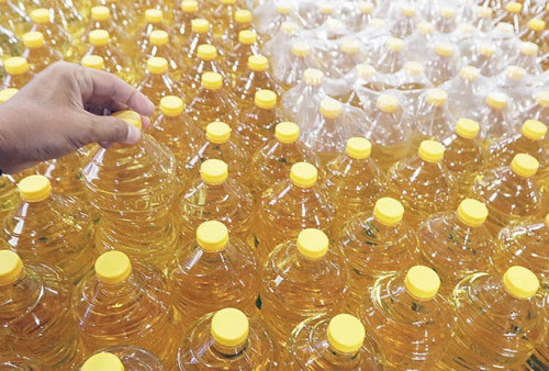 Holding BUMN Pangan Luncurkan Aplikasi Jual Beli Minyak Goreng, Harga Rp14 Ribu per Liter
