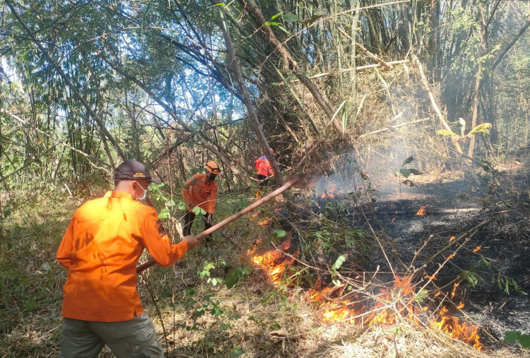 Kemarau Ekstrem Hanguskan 109 Hektar Hutan di Jawa Timur, BPBD Siapkan Drone Khusus