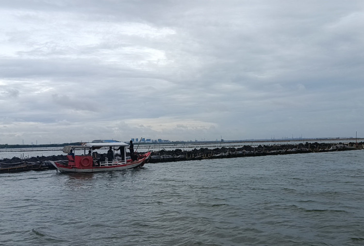 Pemagaran Pagar Laut Misterius di Laut Bekasi Bikin Omset Nelayan Menurun