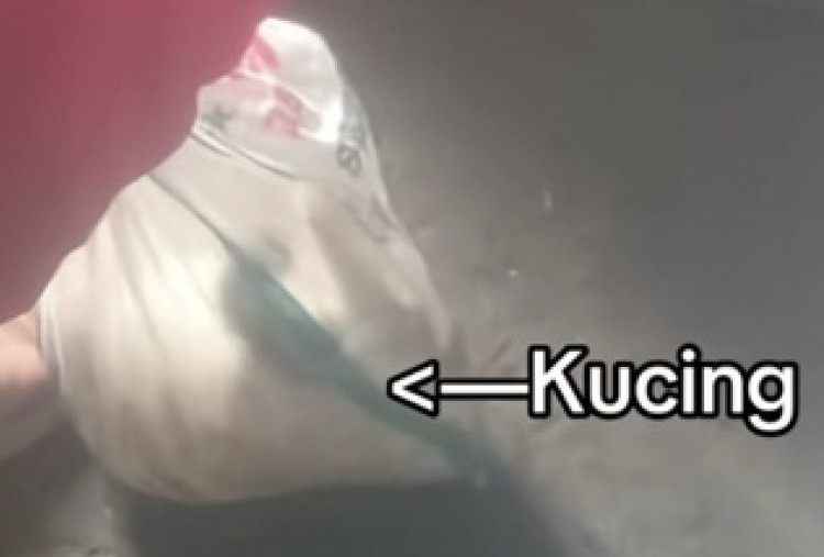 VIRAL! Kafe Kopi Eyang Tega Buang Kucing Dalam Karung dan Diikat Lalu Dibuang ke Tempat Sampah