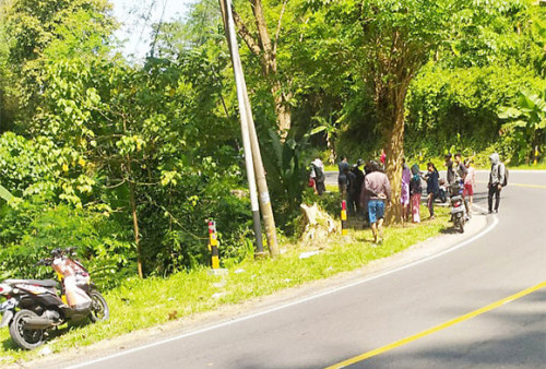 Geger, Mayat Wanita Membusuk di Jurang, Kalipucang