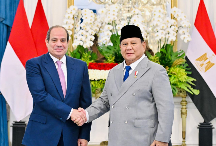 Indonesia-Mesir Sepakati 4 Kerja Sama, dari Pembebasan Visa hingga Perikanan