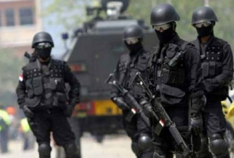 Pasukan Khusus Cartenz Tangkap Dua DPO KKB di Yahukimo