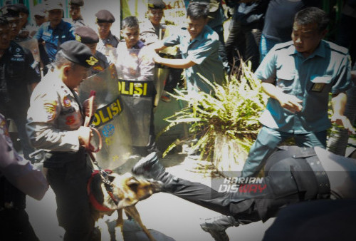 Polisi menggunakan anjing pelacak melakukan pengamanan saat berlangsungnya eksekusi pengosongan bangunan di jalan Gading Pantai II/12 Surabaya, Jawa Timur, Rabu, 11 Oktober 2023. Eksekusi satu unit bagunan rumah yang dilakukan oleh Pengadilan Negeri Kota Surabaya tersebut sempat berlangsung ricuh karena mendapatkan perlawanan dari sekelompok orang sehingga polisi melakukan tindakan penghalauan. (Julian Romadhon/Harian Disway)