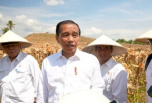 Jokowi Hormati Putusan MK yang Tolak Gugatan Sengketa Pilpres 2024
