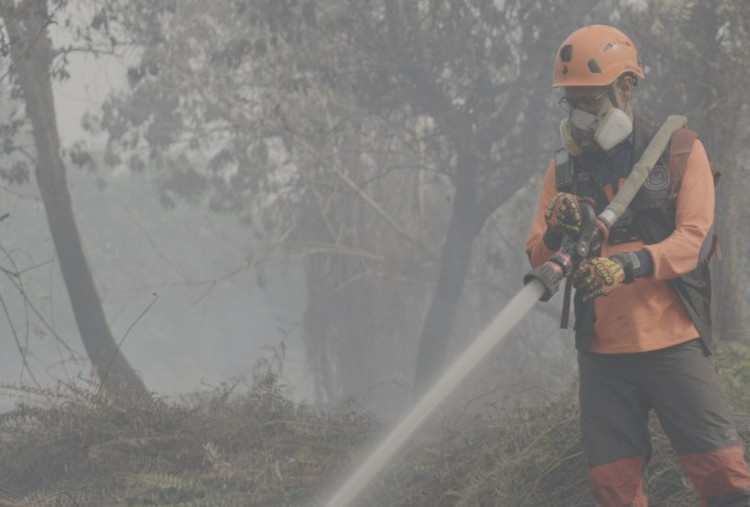 Pemerintah Optimalkan Operasi Modifikasi Cuaca di Kalimantan, Armada Udara Ditambah 