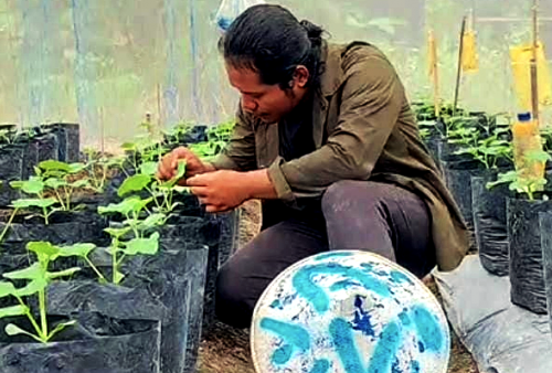 Alumnus Universitas Trunojoyo Madura Bikin Kebun Lestari: Pemuda Ingin Kerja Kantoran, Siapa yang Nyangkul?