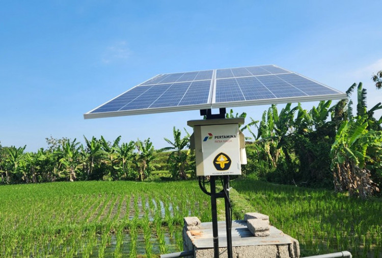 Pertamina Kembangkan Energi Transisi, Dorong Kesejahteraan 408 Petani di Desa Uma Palak