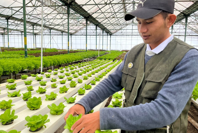 Dengan Teknologi, Petani Modern saat Ini Punya Peluang Lebih Menguntungkan