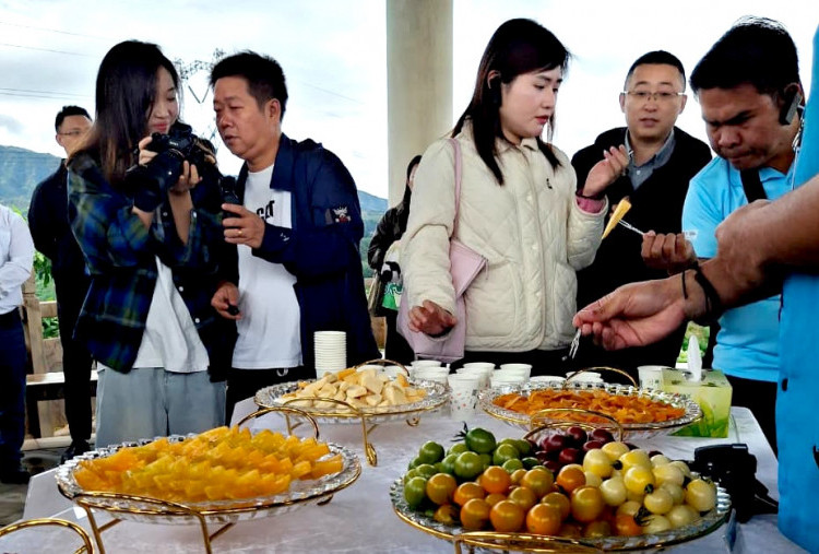 Harian Disway di China International Press Communication Center (CIPCC) (64): Pesta Buah di Tengah Kebun
